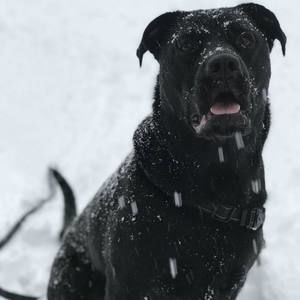 Meet your Posher, Mike